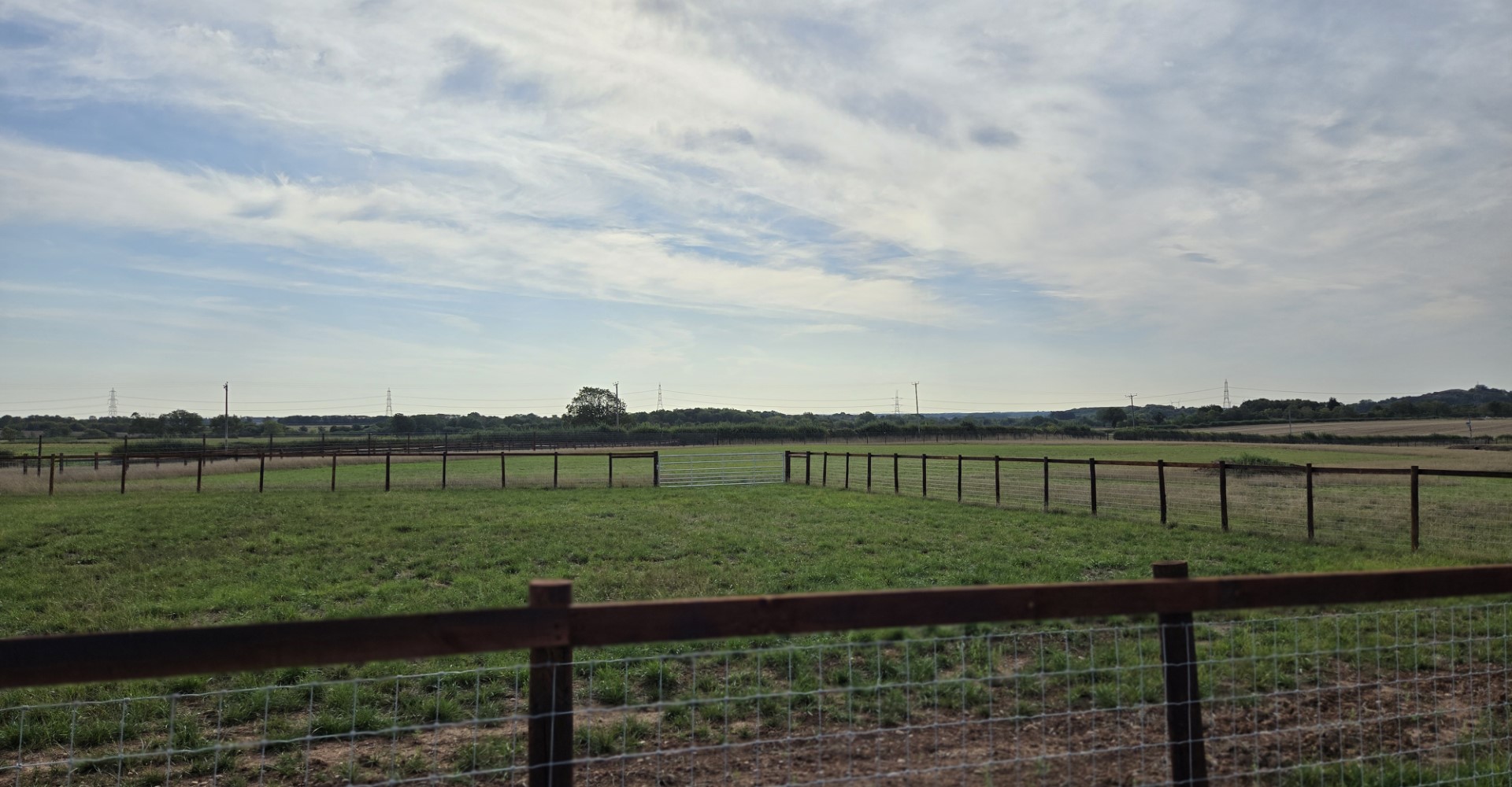 Wide view of secure dog park enclosure