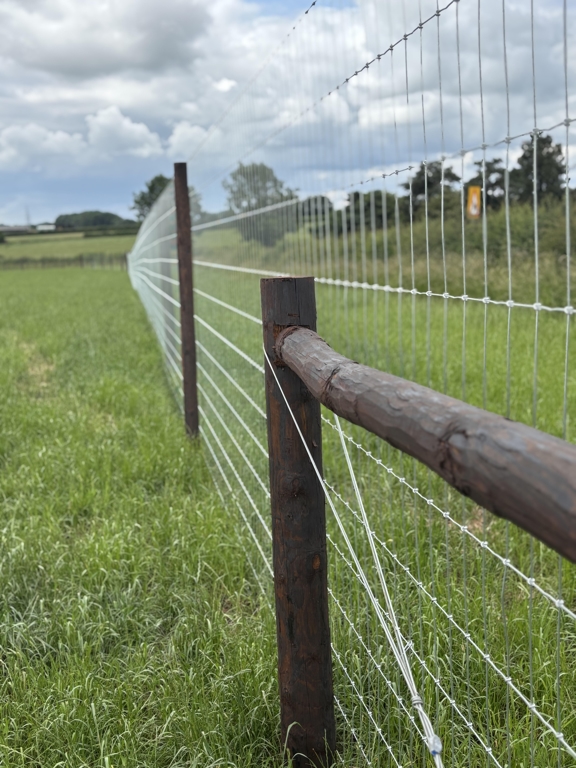 A view of the secure paddock at 10 Acre Tails