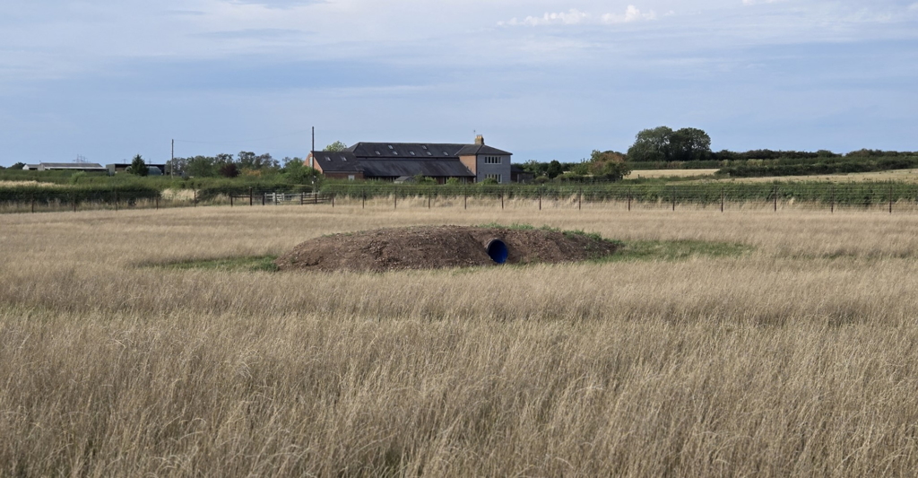 Dog tunnel in the park