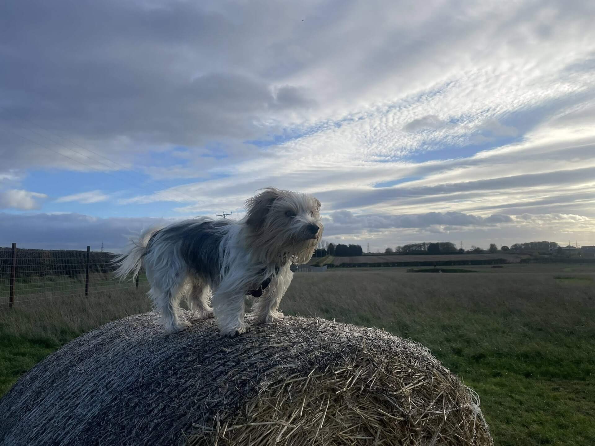 Park facilities and obstacles
